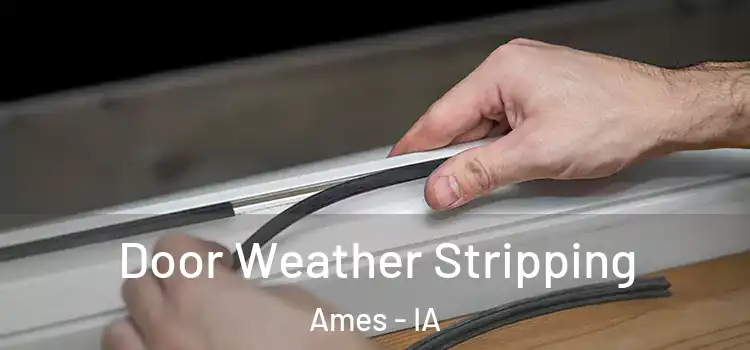 Door Weather Stripping Ames - IA