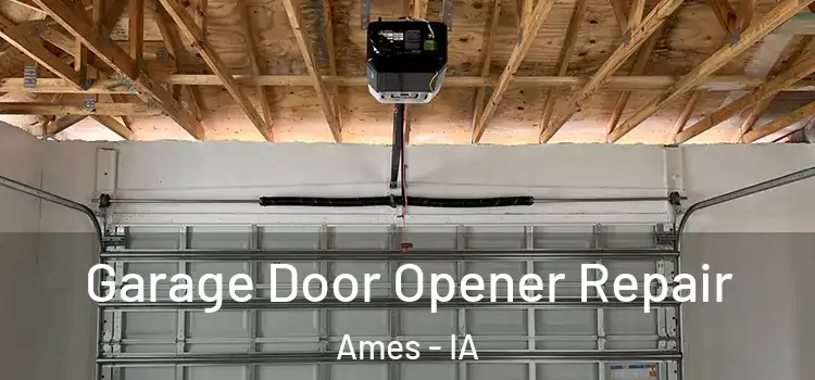  Garage Door Opener Repair Ames - IA