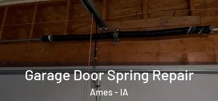  Garage Door Spring Repair Ames - IA