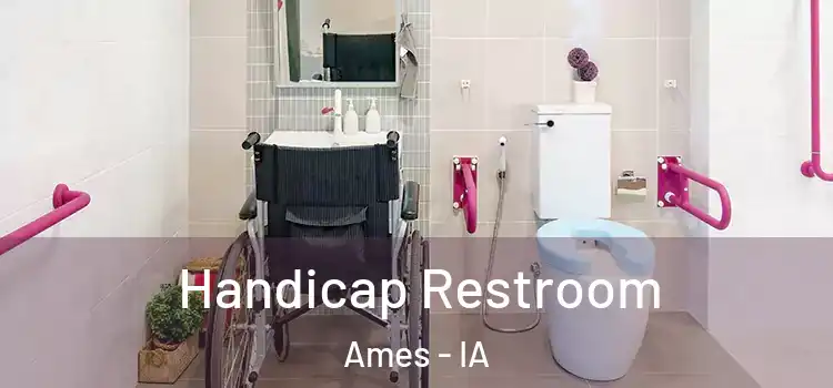 Handicap Restroom Ames - IA