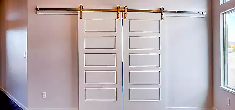 Glass Barn Door with Installation Hardware Kit Ames