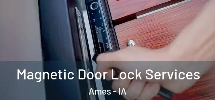 Magnetic Door Lock Services Ames - IA