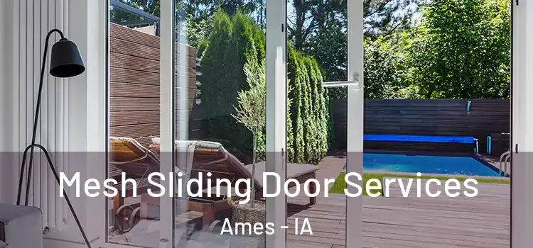 Mesh Sliding Door Services Ames - IA
