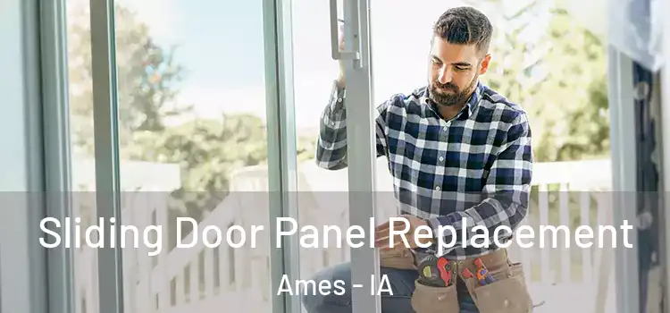  Sliding Door Panel Replacement Ames - IA