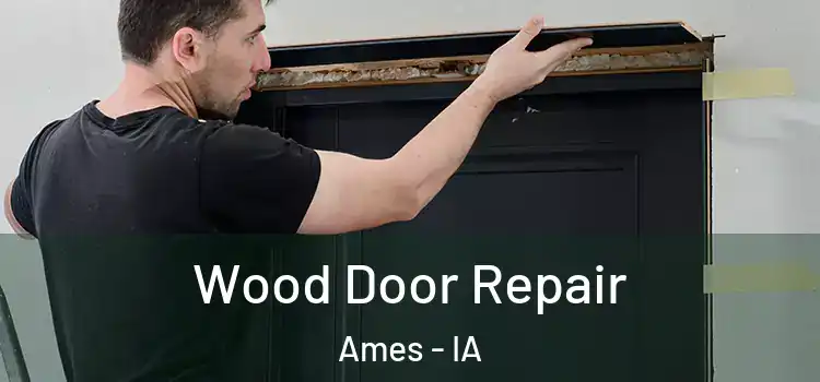 Wood Door Repair Ames - IA
